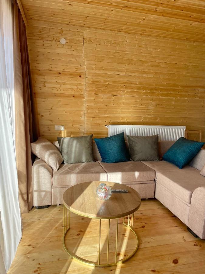 Twin Cottages Kazbegi Экстерьер фото